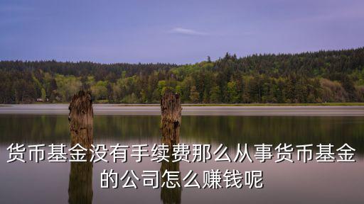 貨幣基金沒有手續(xù)費(fèi)那么從事貨幣基金的公司怎么賺錢呢