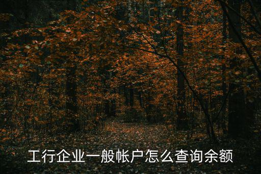 工行企業(yè)一般帳戶怎么查詢余額