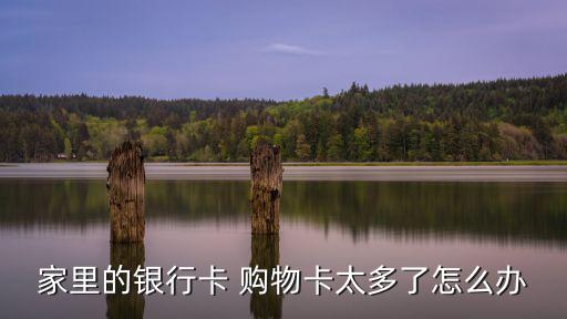 銀行卡多了怎么辦理，家里的銀行卡 購(gòu)物卡太多了怎么辦