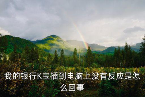 我的銀行K寶插到電腦上沒有反應是怎么回事