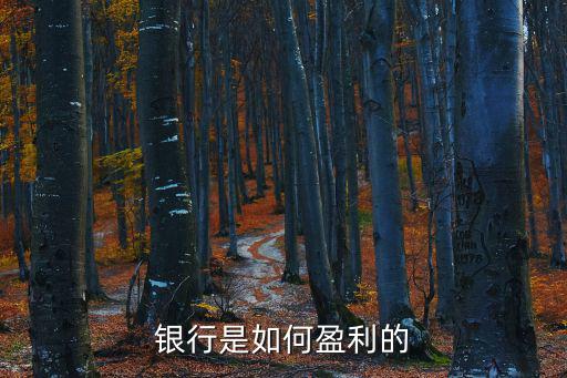 銀行是如何盈利的