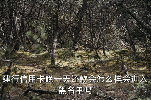 建行遲還一天會怎么樣，建行信用卡逾期還款一天會對信用記錄有影響嗎