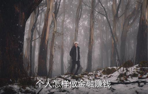 個(gè)人怎樣做金融賺錢(qián)
