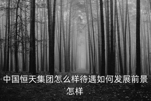 中國(guó)恒天集團(tuán)怎么樣待遇如何發(fā)展前景怎樣