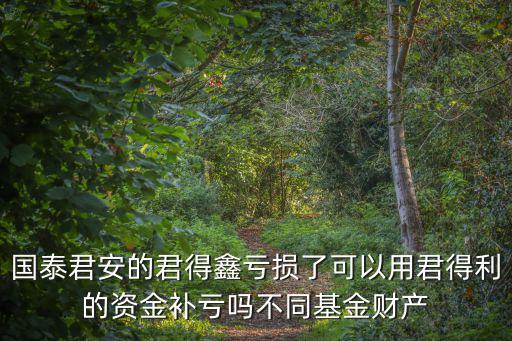 國(guó)泰君安君得鑫怎么樣，國(guó)泰君安君得鑫怎么樣