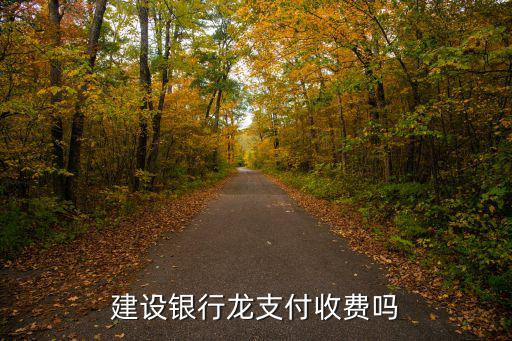 龍支付商戶怎么收費(fèi)，龍支付充值收費(fèi)嗎
