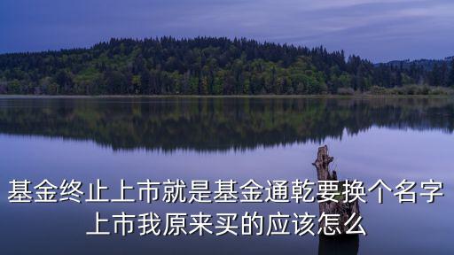 基金終止上市就是基金通乾要換個名字上市我原來買的應(yīng)該怎么