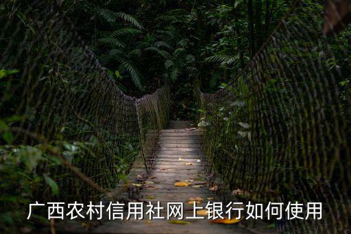 廣西農(nóng)村信用社網(wǎng)上銀行如何使用