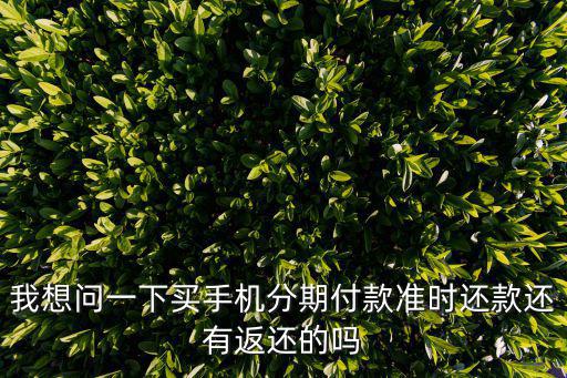 分期付款按時還款會怎么樣，我想問一下買手機分期付款準時還款還有返還的嗎
