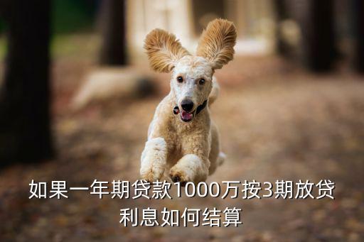 貸款1000萬利息怎么算，如果一年期貸款1000萬按3期放貸利息如何結(jié)算
