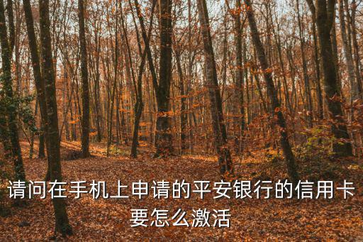 請(qǐng)問(wèn)在手機(jī)上申請(qǐng)的平安銀行的信用卡要怎么激活