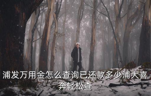 萬用金怎么查詢還款，怎么查我還款的情況