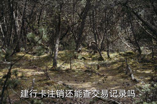 我建行卡注銷怎么查詢嗎，怎樣查銀行卡是否注銷