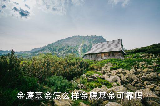 金鷹穩(wěn)健成長混合基金怎么樣，金鷹基金公司好嗎