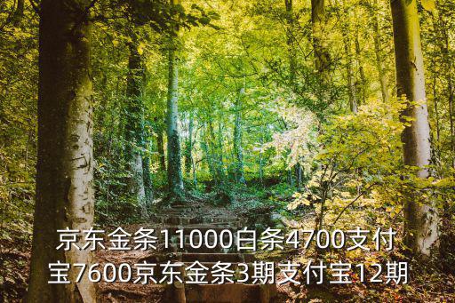京東金條11000白條4700支付寶7600京東金條3期支付寶12期