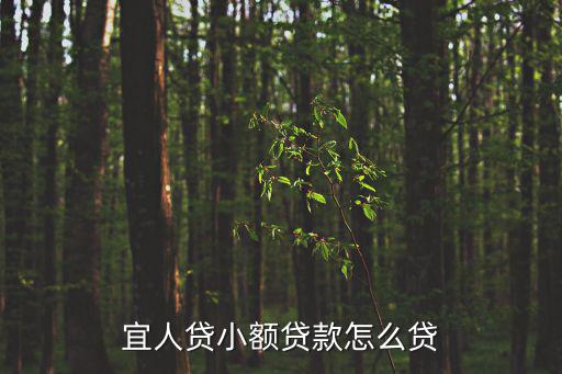 宜人貸怎么申請額度，宜人貸怎么申請