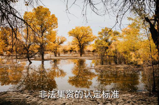 非法集資的認定標準