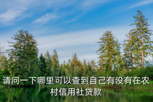 請(qǐng)問(wèn)一下哪里可以查到自己有沒(méi)有在農(nóng)村信用社貸款