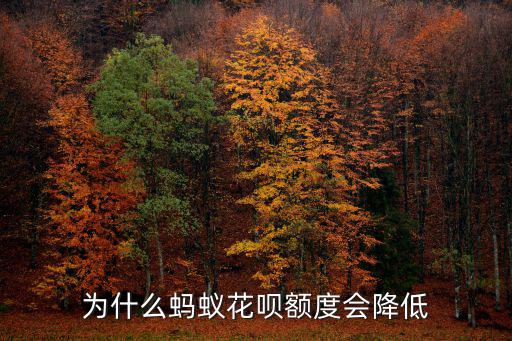 為什么螞蟻花唄額度會(huì)降低