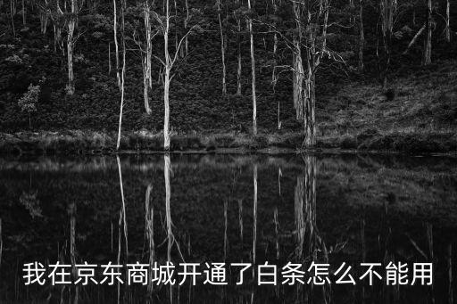 我在京東商城開通了白條怎么不能用