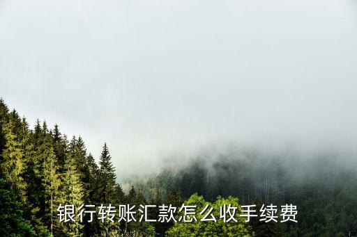 銀行轉(zhuǎn)賬匯款怎么收手續(xù)費(fèi)