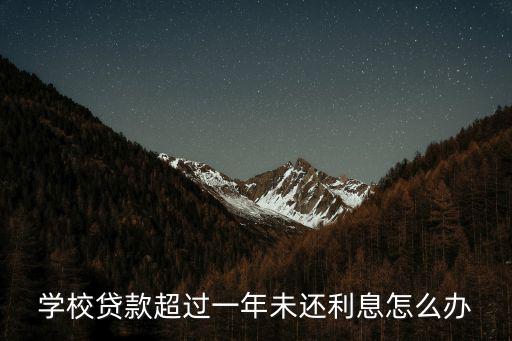 學(xué)校貸款超過一年未還利息怎么辦