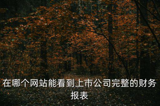 怎么查上市公司報表，上市公司財務(wù)報表在哪里找