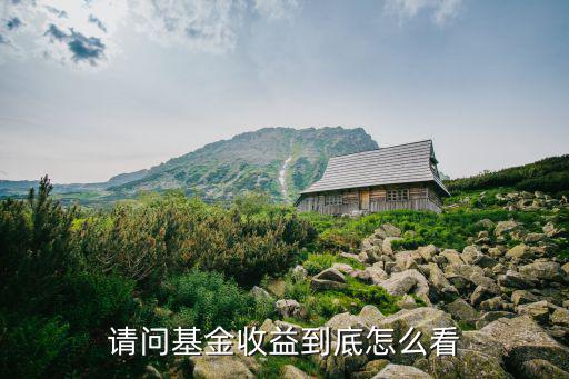 請(qǐng)問基金收益到底怎么看