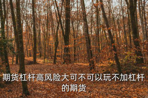 期貨杠桿高風(fēng)險(xiǎn)大可不可以玩不加杠桿的期貨