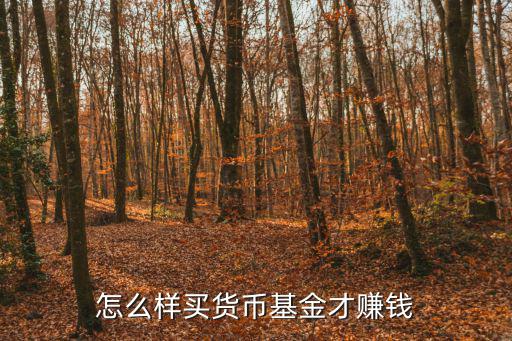基金貨幣怎么賺大錢(qián)，貨幣基金沒(méi)有手續(xù)費(fèi)那么從事貨幣基金的公司怎么賺錢(qián)呢
