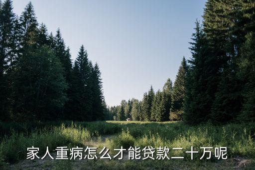 重大疾病怎么貸款，家人重病怎么才能貸款二十萬(wàn)呢