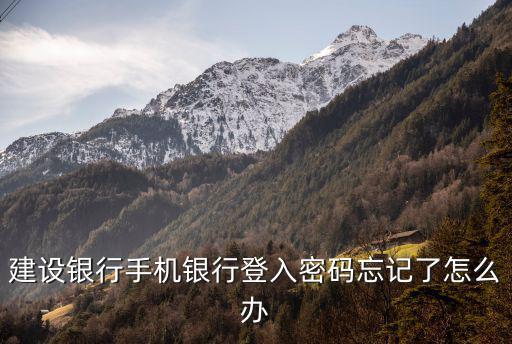 建設(shè)電話銀行密碼忘了怎么辦，建行卡電話銀行密碼忘了怎么辦