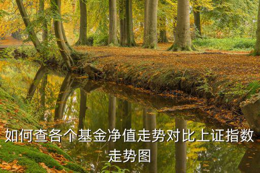 基金凈值走勢怎么看，怎么判斷基金凈值的走勢
