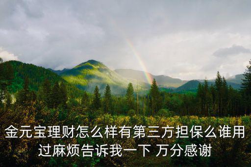 金元寶理財怎么樣有第三方擔保么誰用過麻煩告訴我一下 萬分感謝