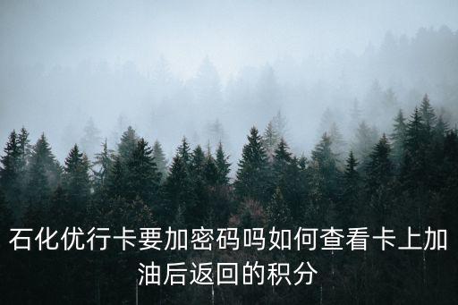 中石化優(yōu)行卡怎么使用方法，中石化怎么了加油真難