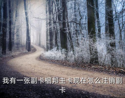 ?？ㄔ趺醋N，怎么把卡注銷呢