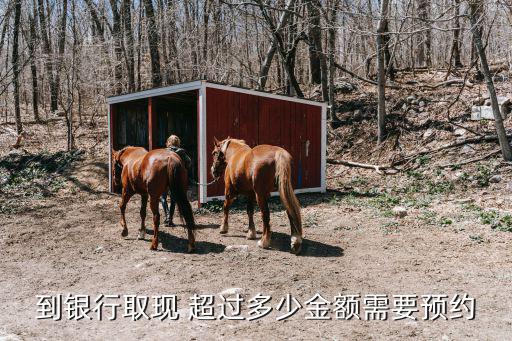 建行取20萬怎么預(yù)約嗎，建行取多少錢需要預(yù)約啊