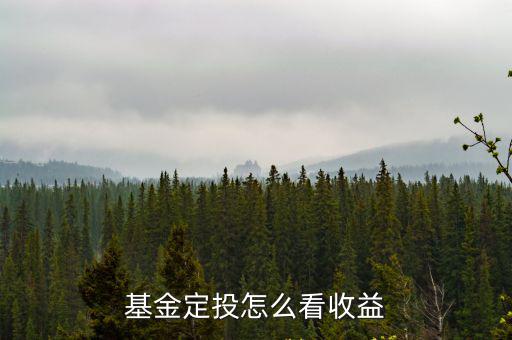 基金定投怎么看收益
