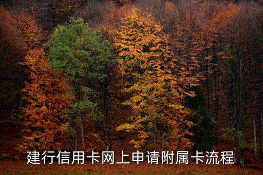 建行信用卡網(wǎng)上申請(qǐng)附屬卡流程