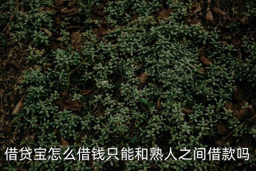 借貸寶怎么借錢只能和熟人之間借款嗎