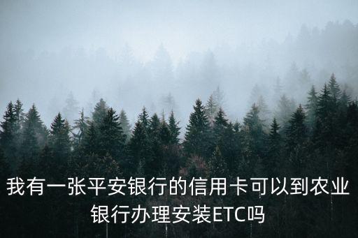 我有一張平安銀行的信用卡可以到農(nóng)業(yè)銀行辦理安裝ETC嗎