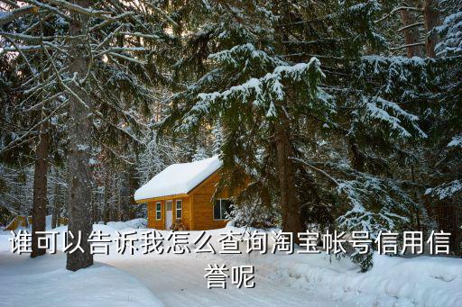 誰可以告訴我怎么查詢淘寶帳號信用信譽(yù)呢