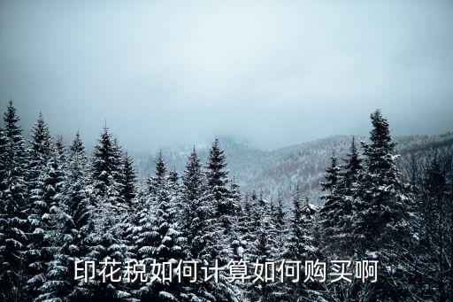 印花稅如何計(jì)算如何購(gòu)買(mǎi)啊