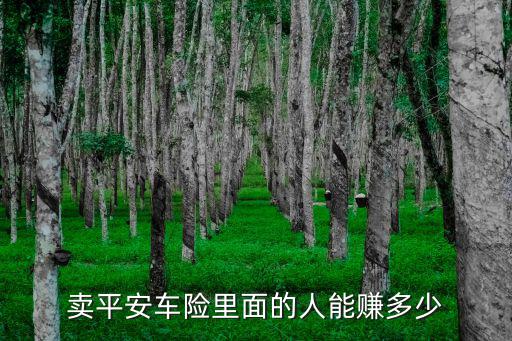 賣(mài)平安車(chē)險(xiǎn)里面的人能賺多少
