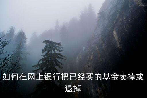 互聯(lián)網(wǎng)怎么賣貨幣基金，貨幣基金是怎么交易的