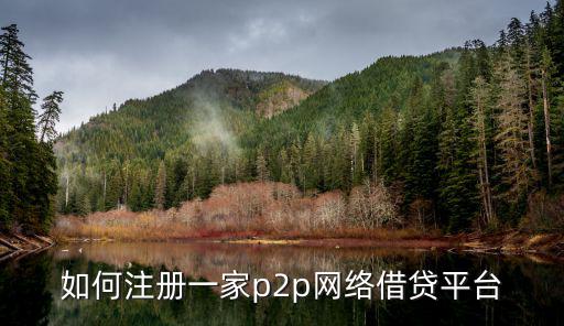 如何注冊一家p2p網(wǎng)絡(luò)借貸平臺