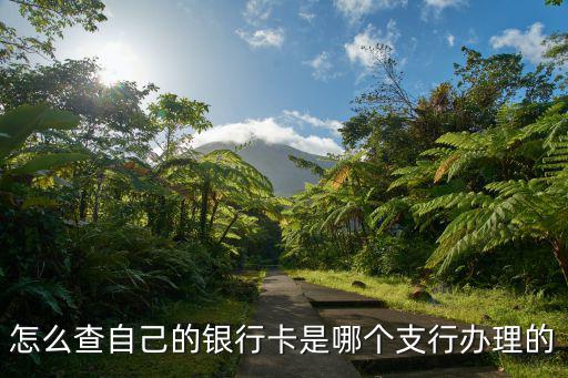 怎么查自己的銀行卡是哪個支行辦理的