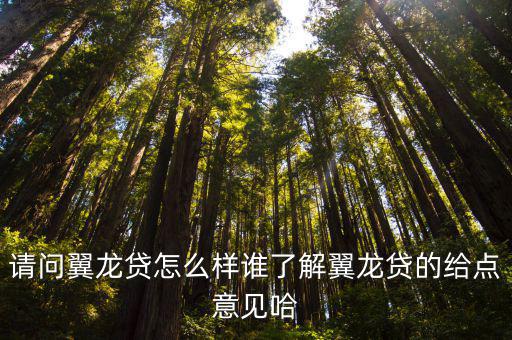 請問翼龍貸怎么樣誰了解翼龍貸的給點(diǎn)意見哈