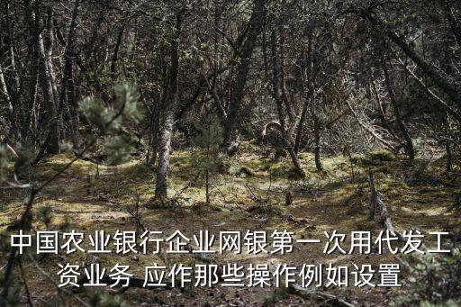 農行工資單怎么用，第一次用農行網銀發(fā)工資那個工資表格式應該怎樣轉換麻煩知道
