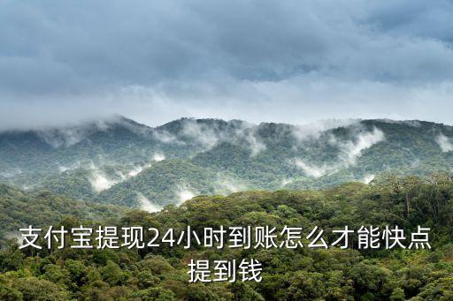 支付寶提現(xiàn)24小時(shí)到賬怎么才能快點(diǎn)提到錢
